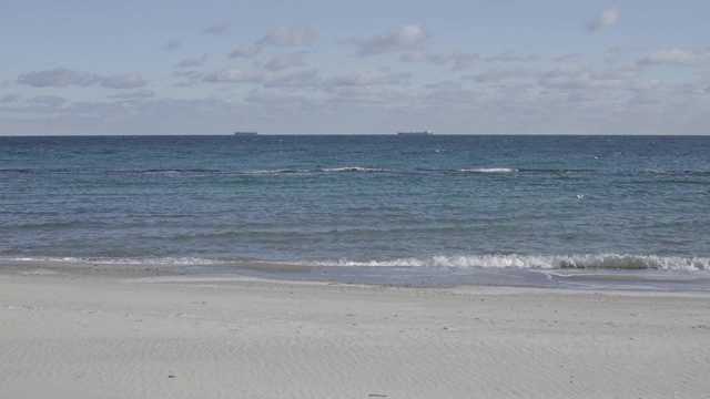 黑海海滩上的海鸥。视频素材