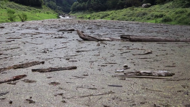 野外被污染的溪流视频下载