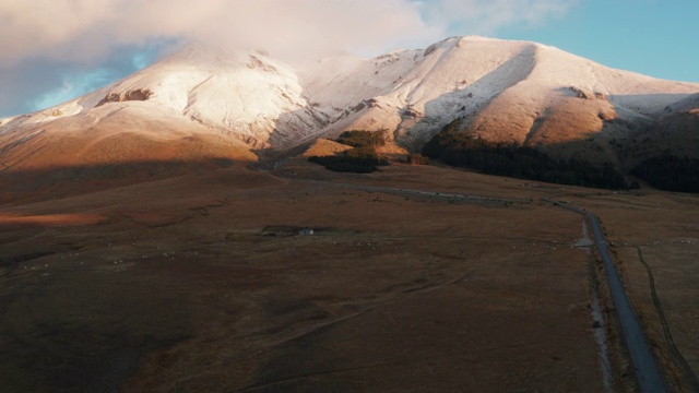 黎明时分，坎波Imperatore，一群奶牛和雪山在后面视频素材