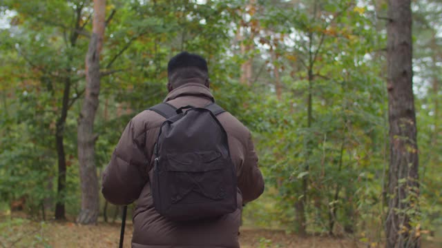 在森林里背包旅行的非洲徒步旅行者视频素材