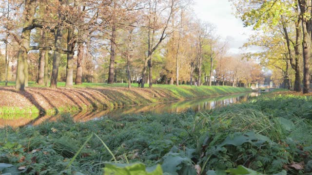 秋天的风景亚历山德罗夫斯基公园与池塘小巷黄色的树木颜色视频素材