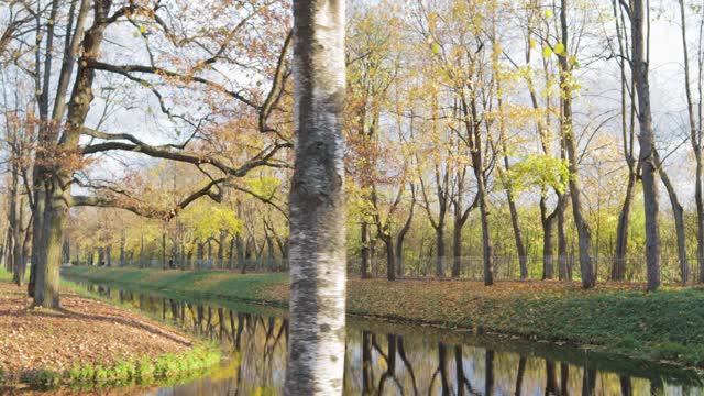 秋天的风景亚历山德罗夫斯基公园与池塘小巷黄色的树木颜色视频素材