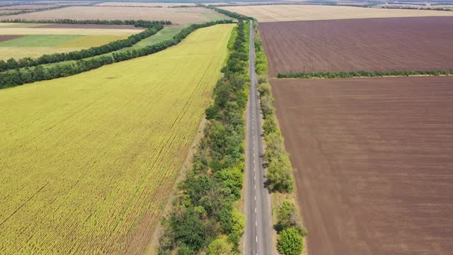 公路在耕地和向日葵地之间视频素材