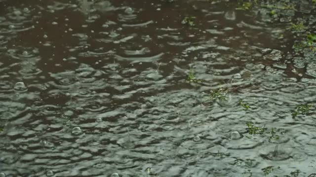 水坑里雨水的泡泡视频素材