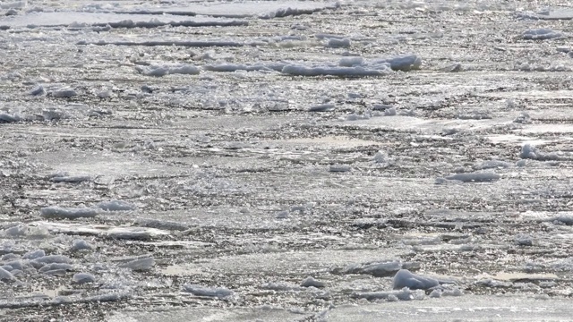 浮冰在水中漂浮，在波浪上摇摆视频素材