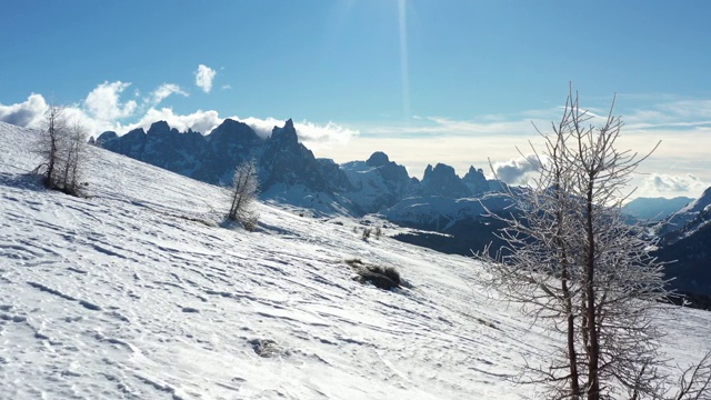 在意大利白云石的背景下，平稳地飞过白雪，经过白霜中的树木。无人机镜头空中在冬季滑雪阳光明媚的日子-滑雪区阿尔卑斯卢西亚视频素材