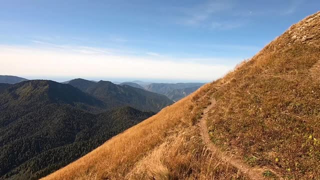 五彩斑斓的山景在秋天是金色的。美丽的秋景森林在群山中映衬着明亮的蓝天视频素材