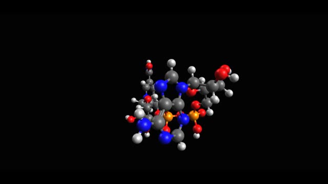 烟酰胺腺嘌呤二核苷酸(NAD+)氧化形式的动画骨骼三维模型视频素材