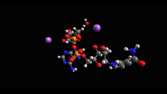 烟酰胺腺嘌呤二核苷酸(NADH)还原形式的动画骨骼三维模型视频素材