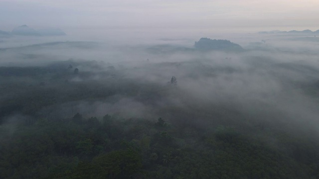 清晨山上雾的鸟瞰图视频素材