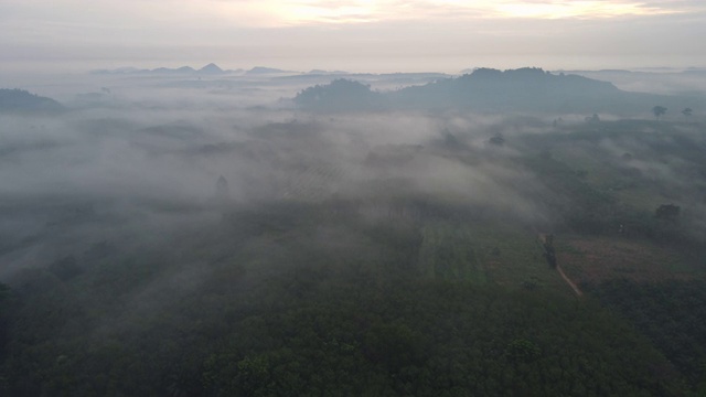 清晨山上雾的鸟瞰图视频素材