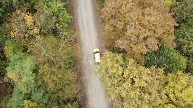 空中俯瞰4k白色汽车行驶在森林的乡村道路在黄昏时分。无人机在松树林的砾石路上飞行视频素材