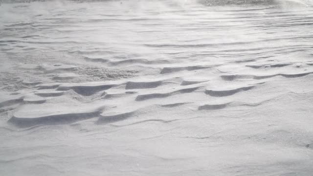 北极暴风雪，风雪交加视频素材