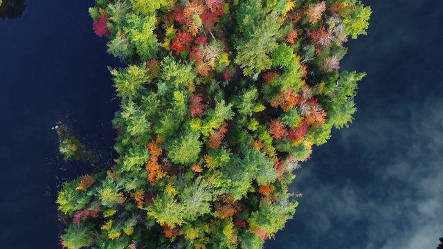 秋天的风景视频素材