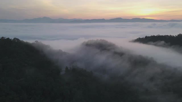 鸟瞰图超延时森林在早晨雾雾，呼吸山，阳光在早晨的薄雾，泰国。视频素材