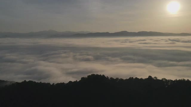 鸟瞰图超延时森林在早晨雾雾，呼吸山，阳光在早晨的薄雾，泰国。视频素材