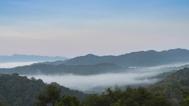 鸟瞰图超延时森林在早晨雾雾，呼吸山，阳光在早晨的薄雾，泰国。视频素材