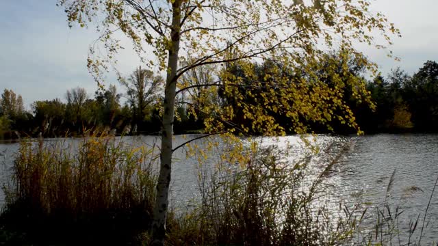 秋天的太阳在湖水中嬉戏视频素材