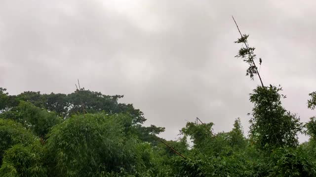 在印度北部的一个雨天，暴风雨天的时间圈镜头。视频下载