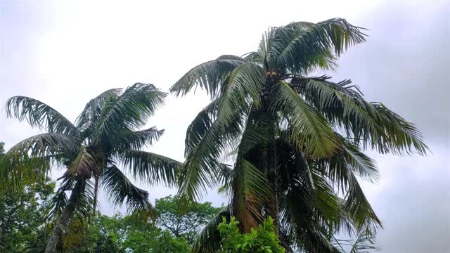 在印度北部的一个雨天，暴风雨天的时间圈镜头。视频下载