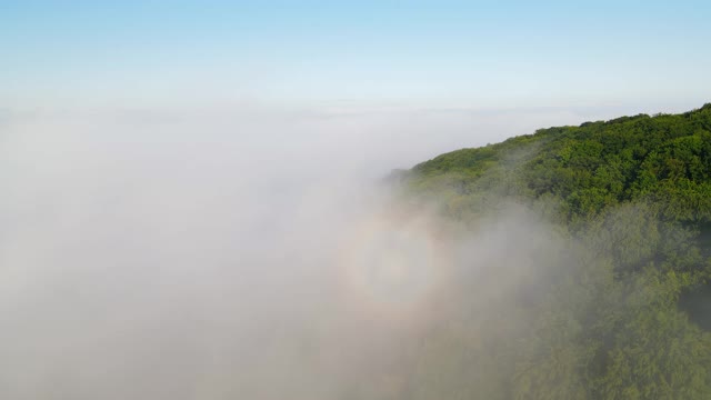 笼罩群山的晨雾。鸟瞰图的绿树覆盖着浓雾视频素材