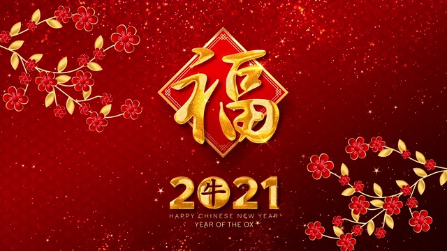 春节快乐，牛年2021年，也被称为春节，用中国书法“恭喜发财”或“恭喜发财”，意思是祝你获得更大的财富视频素材