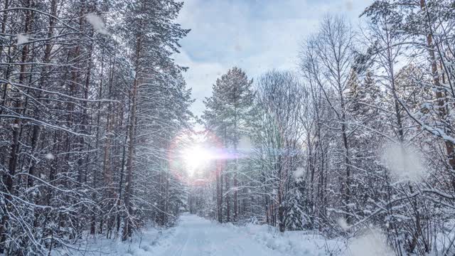 这是一个冬季的场景动画，汽车在积雪覆盖的道路上缓慢行驶，树叶从树上轻轻飘落。视频循环视频素材