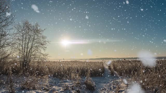 这是一个冬季的场景动画，汽车在积雪覆盖的道路上缓慢行驶，树叶从树上轻轻飘落。视频循环视频素材