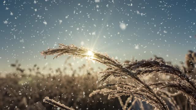 这是一个冬季的场景动画，汽车在积雪覆盖的道路上缓慢行驶，树叶从树上轻轻飘落。视频循环视频素材