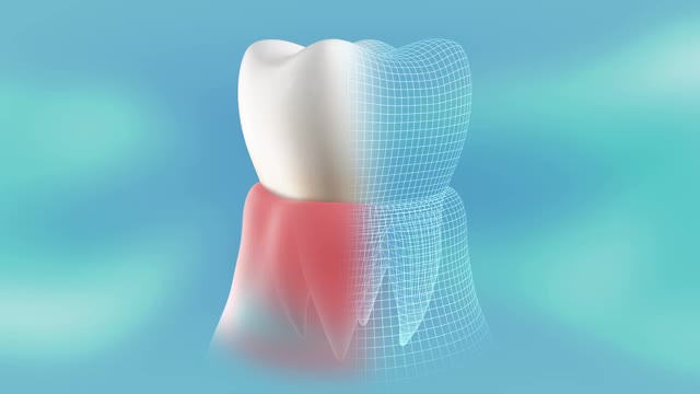 一个健康，治愈的牙齿在牙龈的概念介绍。360度旋转和停止循环。视频素材