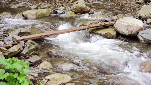 野生山河近清晰的小溪静态拍摄视频素材