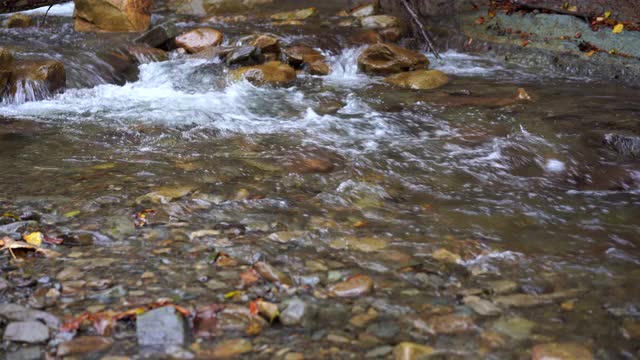 野生山河近清晰的小溪静态拍摄视频素材