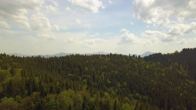 在多云的夏季天气，高山覆盖着绿色云杉森林的鸟瞰图。视频素材