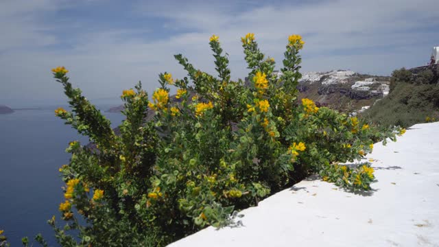 希腊圣托里尼岛火山口的全景视频素材