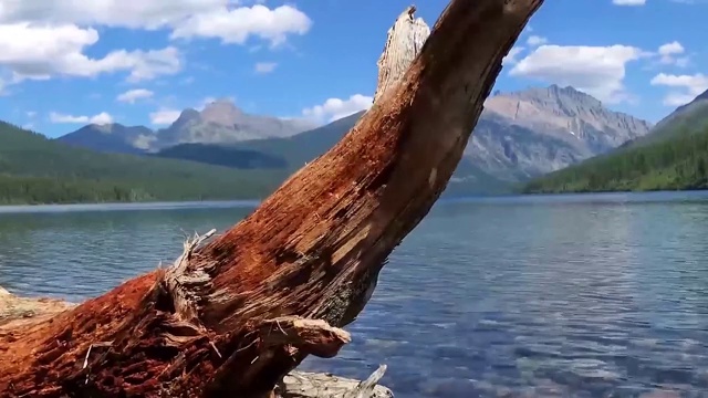 山上的湖，有漂木视频素材