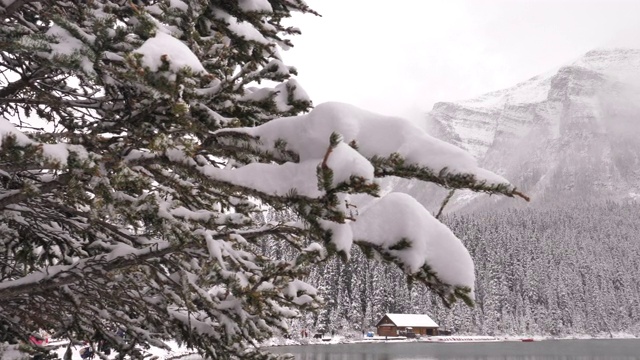 雪雪户外视频素材