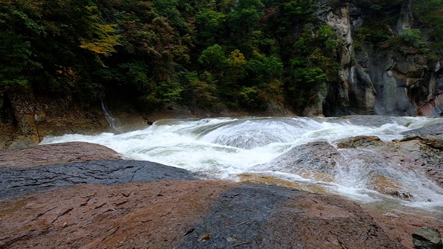 缓慢的水盆地视频素材