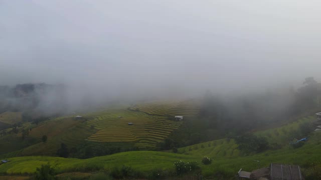 鸟瞰梯田，雾蒙蒙的早晨在班帕蓬，泰国清迈。视频素材