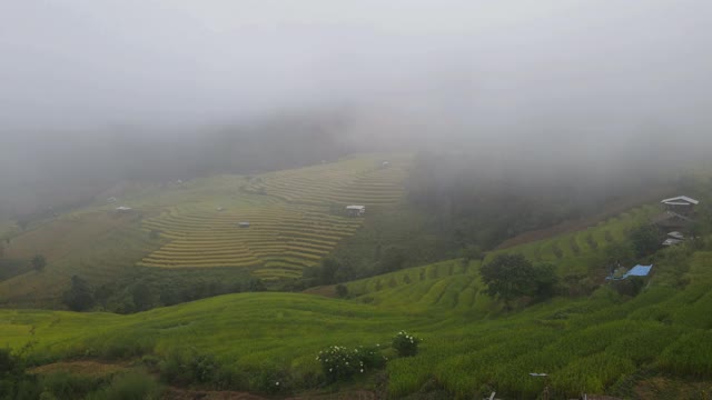 鸟瞰梯田，雾蒙蒙的早晨在班帕蓬，泰国清迈。视频素材