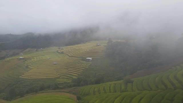 鸟瞰梯田，雾蒙蒙的早晨在班帕蓬，泰国清迈。视频素材