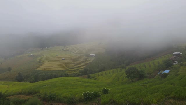 鸟瞰梯田，雾蒙蒙的早晨在班帕蓬，泰国清迈。视频素材