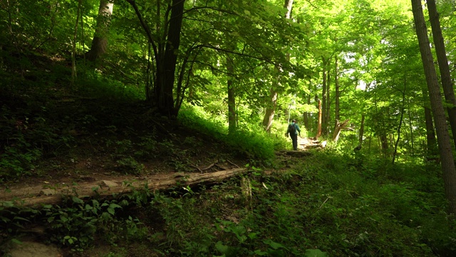 男人在森林里徒步旅行视频素材