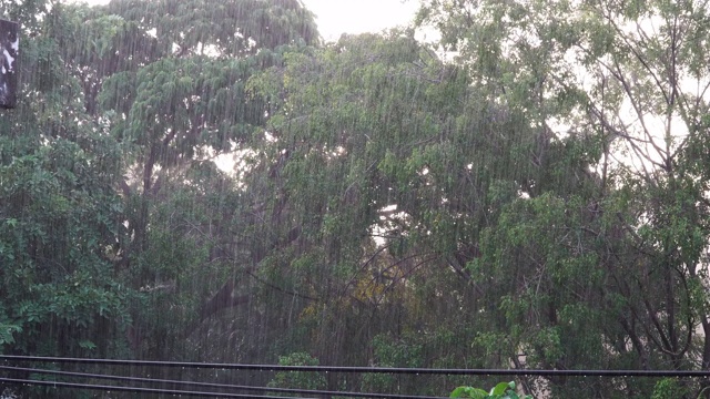 雨风视频素材