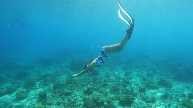 4K年轻女子自由潜水穿着长鳍海豚踢风格潜水在清澈的水珊瑚礁在海洋视频素材