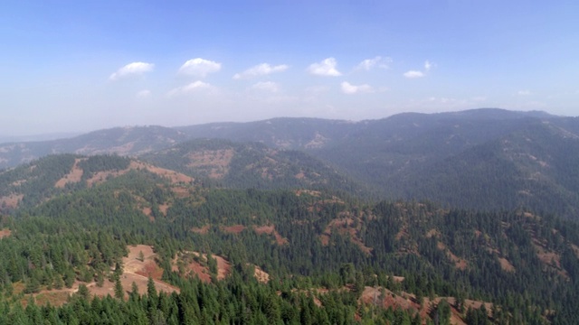 鸟瞰图的风景山和树视频素材