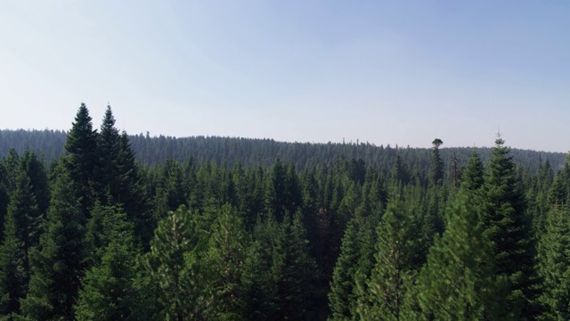 鸟瞰图的风景山和树视频素材