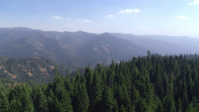 鸟瞰图的风景山和树视频素材