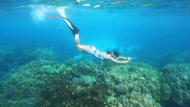 4K年轻女子自由潜水穿着长鳍海豚踢风格潜水在清澈的水珊瑚礁在海洋视频素材