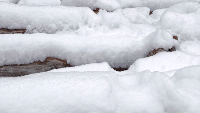 冰雪覆盖的冰碛湖树干视频素材