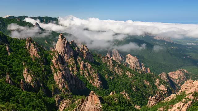 韩国石山/江原道公翎岭(恐龙岭)云海视频素材